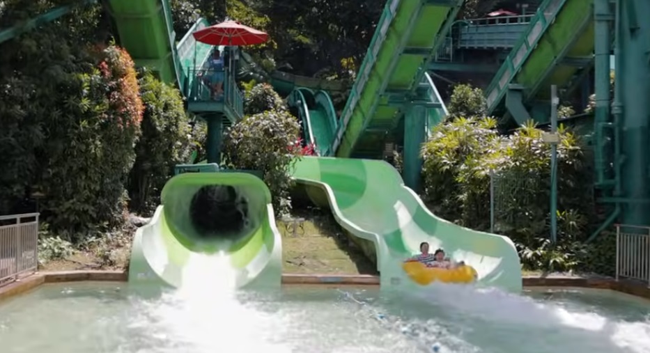 Adventure Cove Waterpark