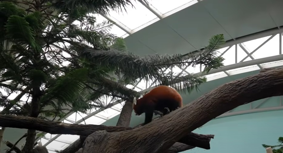 Nocturnal Wildlife Park